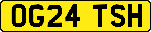 OG24TSH