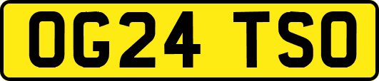 OG24TSO