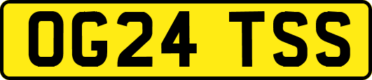OG24TSS