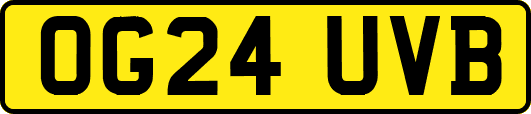 OG24UVB
