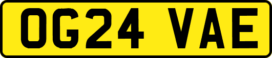 OG24VAE
