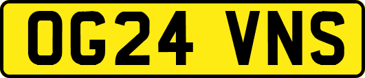 OG24VNS