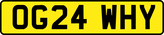 OG24WHY