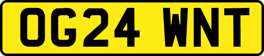 OG24WNT