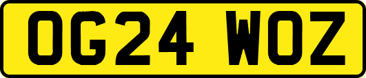 OG24WOZ