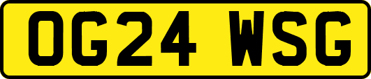 OG24WSG