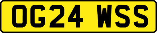 OG24WSS