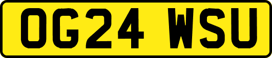 OG24WSU