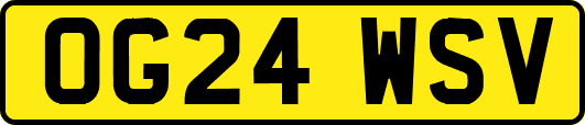 OG24WSV