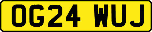 OG24WUJ
