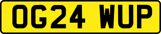 OG24WUP