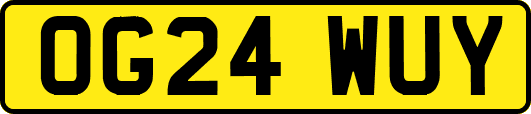 OG24WUY