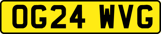 OG24WVG