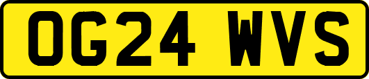 OG24WVS