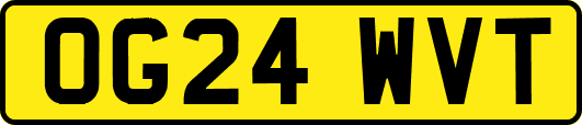 OG24WVT