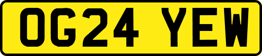 OG24YEW