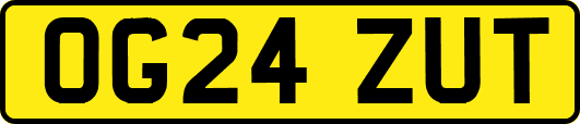OG24ZUT