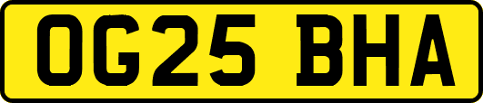 OG25BHA