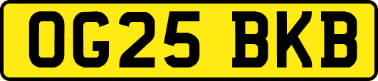 OG25BKB