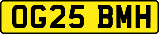 OG25BMH