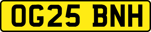OG25BNH