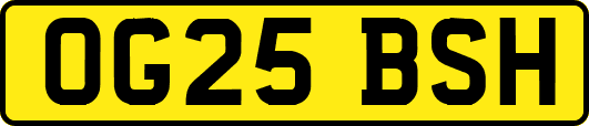 OG25BSH