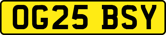 OG25BSY