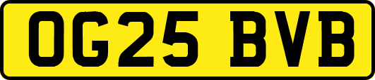 OG25BVB