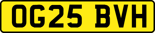OG25BVH