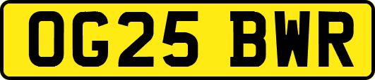 OG25BWR