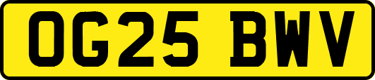 OG25BWV