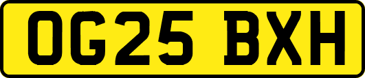 OG25BXH