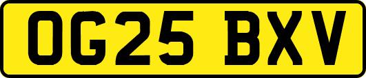 OG25BXV