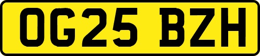 OG25BZH