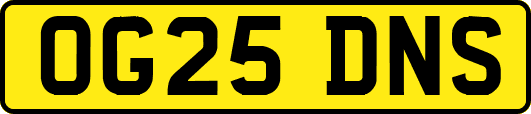 OG25DNS
