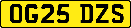 OG25DZS