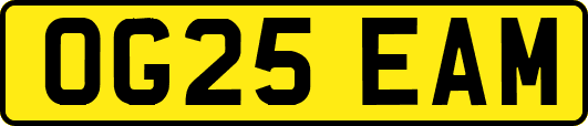 OG25EAM