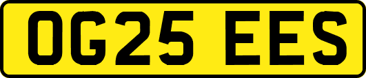 OG25EES
