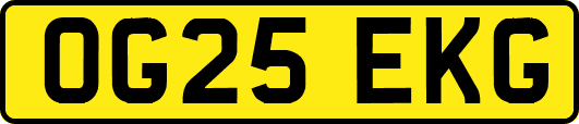 OG25EKG