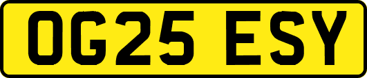 OG25ESY