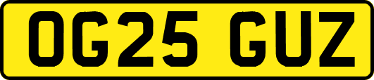 OG25GUZ