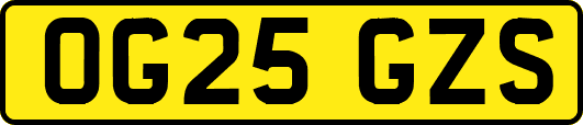 OG25GZS