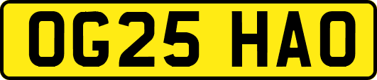 OG25HAO