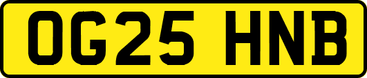 OG25HNB