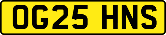 OG25HNS
