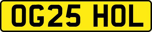 OG25HOL