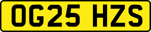 OG25HZS