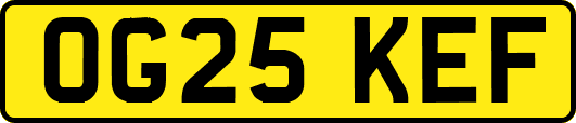 OG25KEF