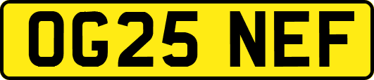 OG25NEF
