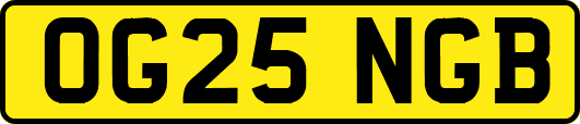 OG25NGB
